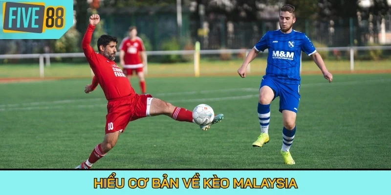 Hiểu cơ bản về kèo Malaysia