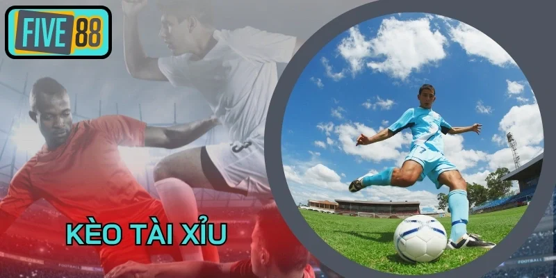 Kinh nghiệm chơi Kèo Tài Xỉu