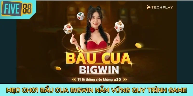 Mẹo chơi Bầu Cua BigWin nắm vững quy trình game