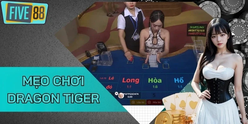 Lưu ý khi dùng những mẹo chơi Rồng Hổ