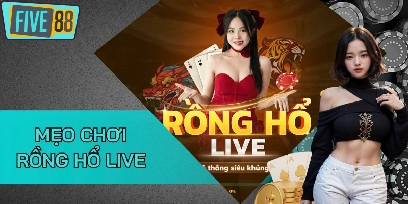 Cần lưu ý khi dùng mẹo chơi Rồng Hổ